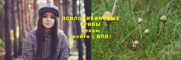 твердый Каменск-Шахтинский