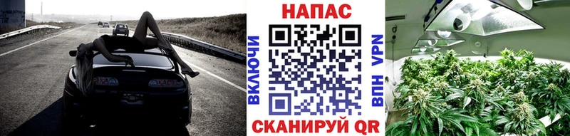 Шишки марихуана ГИДРОПОН Шлиссельбург